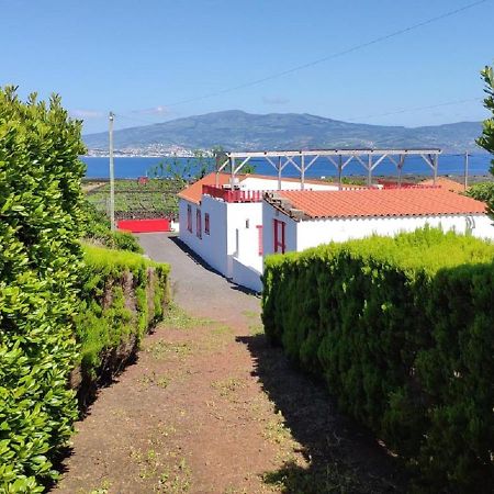فيلا Casa Da Ilha مادالينا المظهر الخارجي الصورة