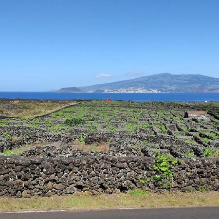 فيلا Casa Da Ilha مادالينا المظهر الخارجي الصورة