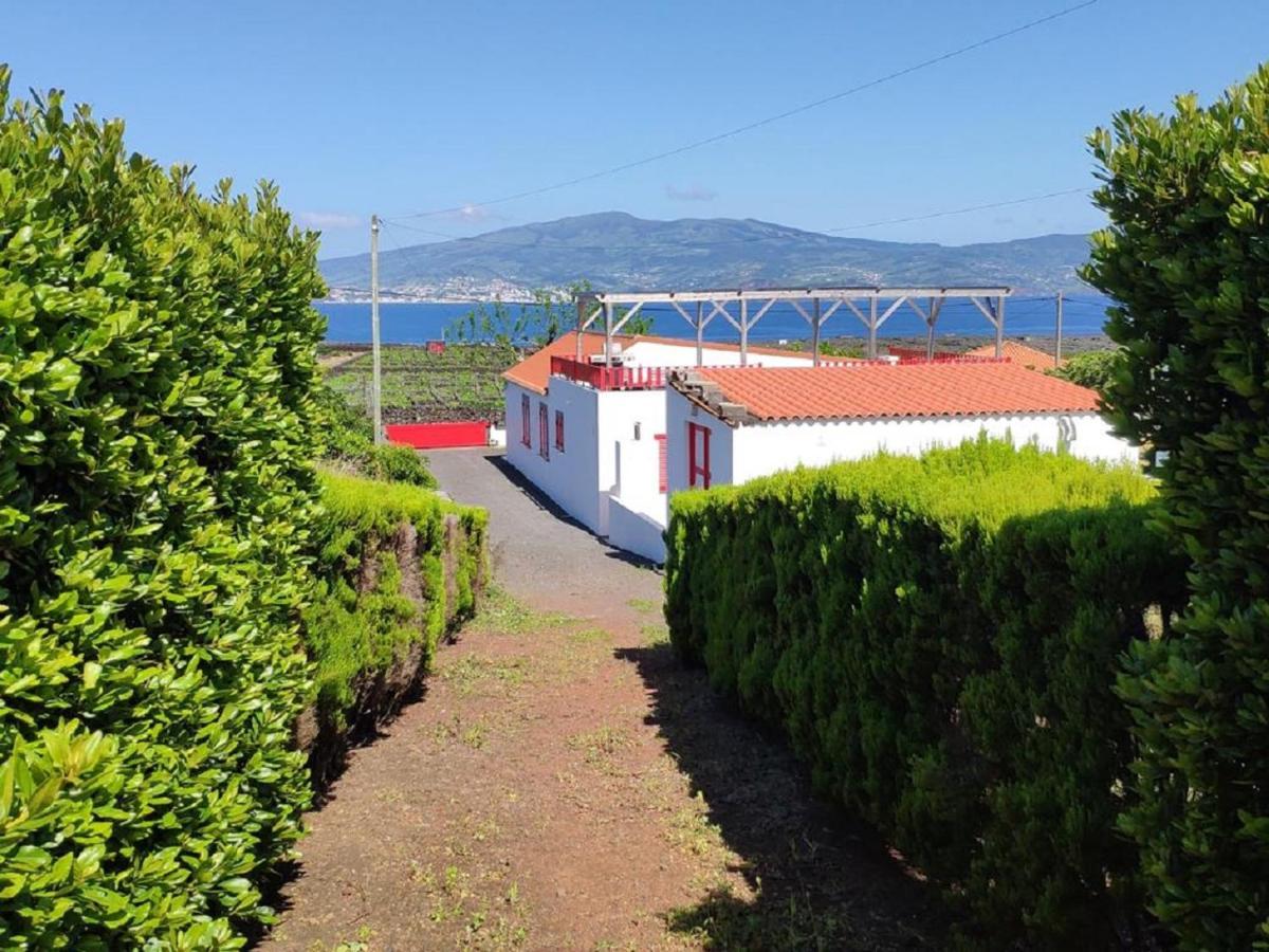 فيلا Casa Da Ilha مادالينا المظهر الخارجي الصورة