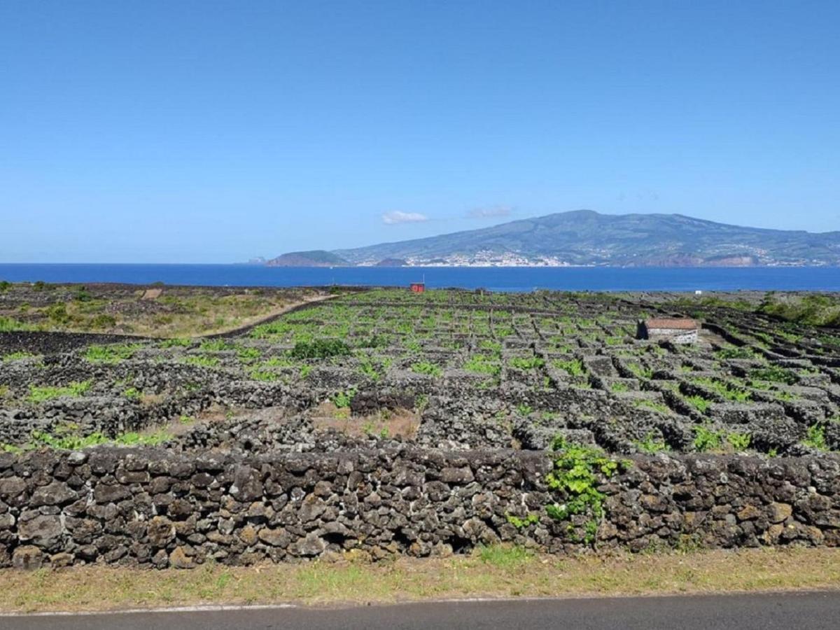 فيلا Casa Da Ilha مادالينا المظهر الخارجي الصورة