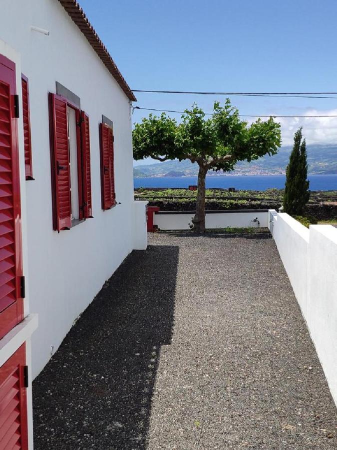 فيلا Casa Da Ilha مادالينا المظهر الخارجي الصورة